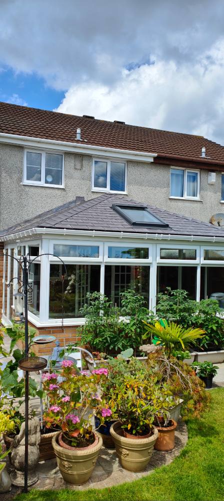 Gallery – Edwardian Conservatory in Garden – Crownhill Conservatories Ltd Gallery - Edwardian Conservatory in Garden - Crownhill Conservatories Ltd